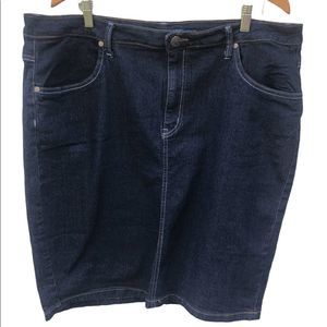 Lexi Plus Size Denim Skirt.